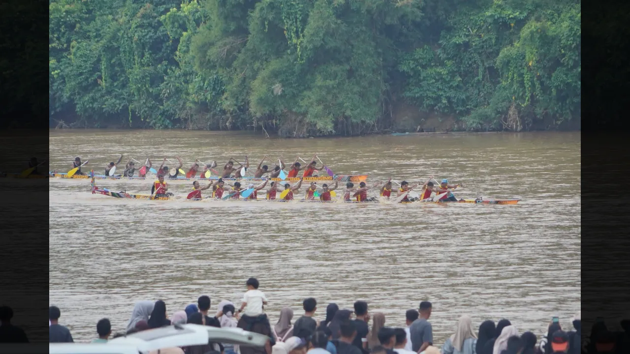  Setelah Lama Senyap, Batanghari Kembali Menyala: Selaju Sampan Hidupkan Ingatan dan Harapan Warga Kampung Pulai Dharmasraya
